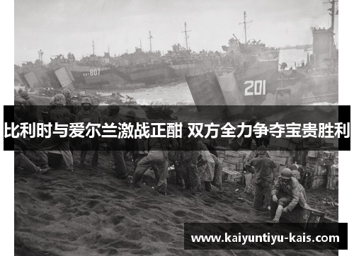 比利时与爱尔兰激战正酣 双方全力争夺宝贵胜利
