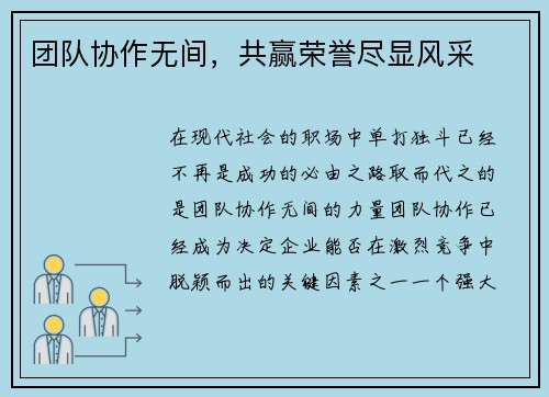 团队协作无间，共赢荣誉尽显风采
