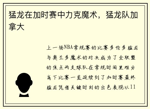 猛龙在加时赛中力克魔术，猛龙队加拿大