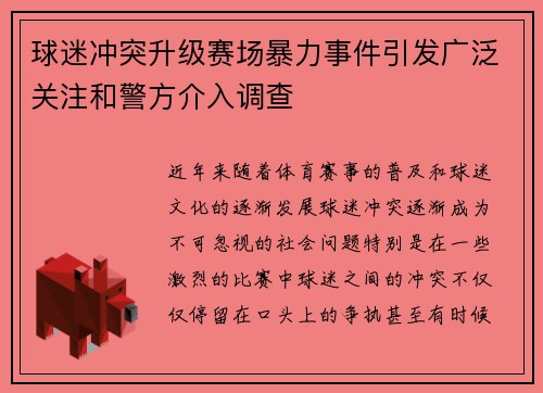 球迷冲突升级赛场暴力事件引发广泛关注和警方介入调查
